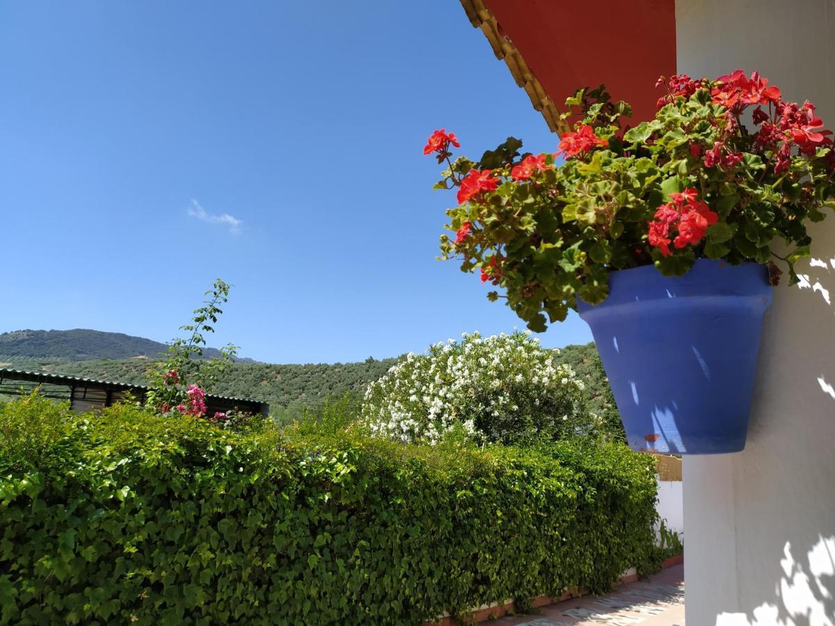 Villa Frasquita Priego de Córdoba Eksteriør bilde