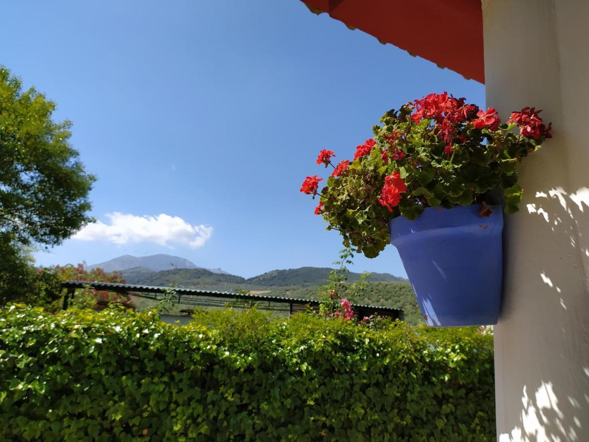 Villa Frasquita Priego de Córdoba Eksteriør bilde