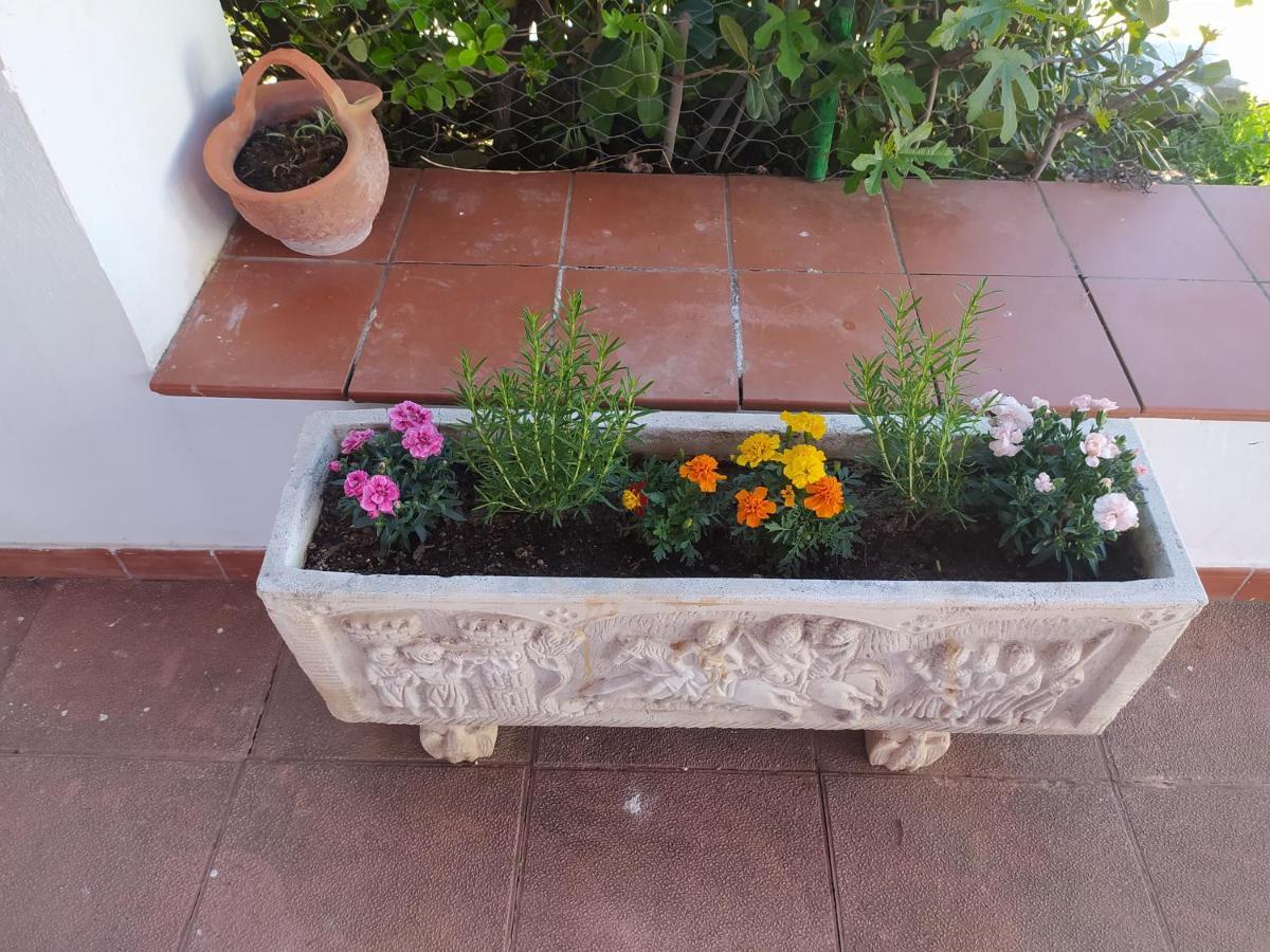 Villa Frasquita Priego de Córdoba Eksteriør bilde