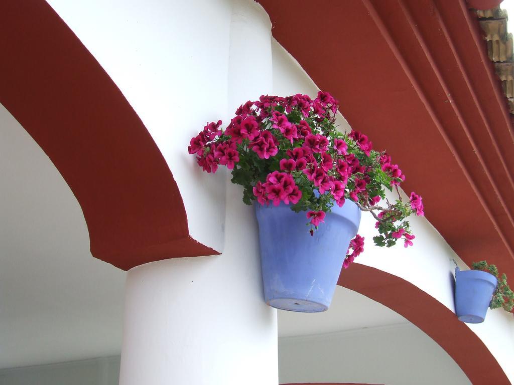 Villa Frasquita Priego de Córdoba Eksteriør bilde